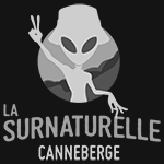 La Surnaturelle à la canneberge - SURE AUX FRUITS